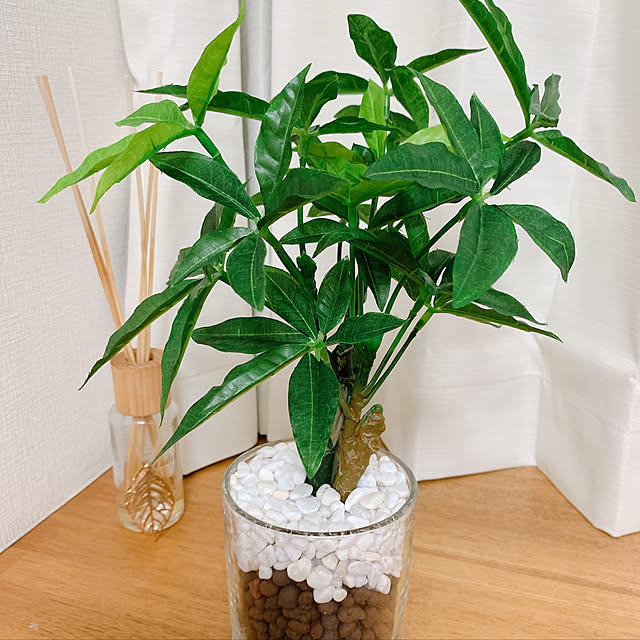 nozomiさんの実例写真