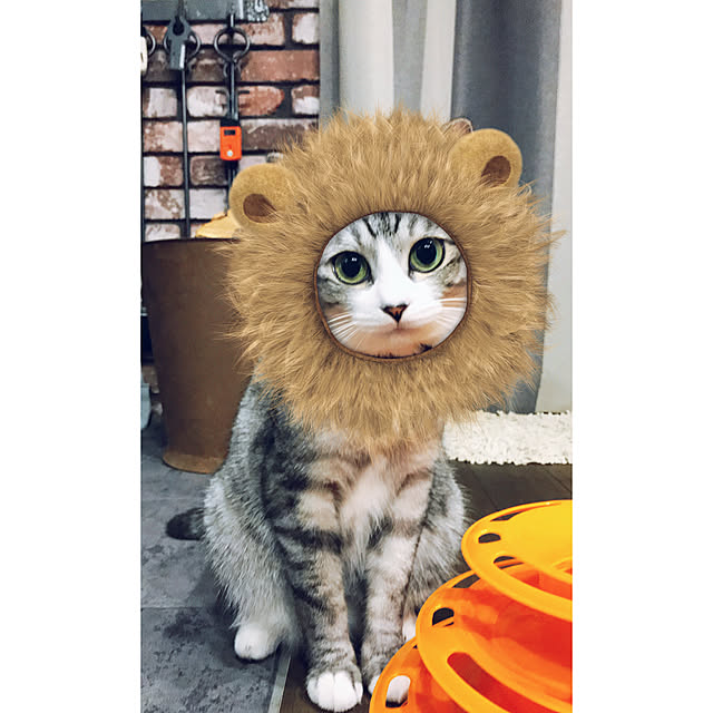 na-sanさんの実例写真