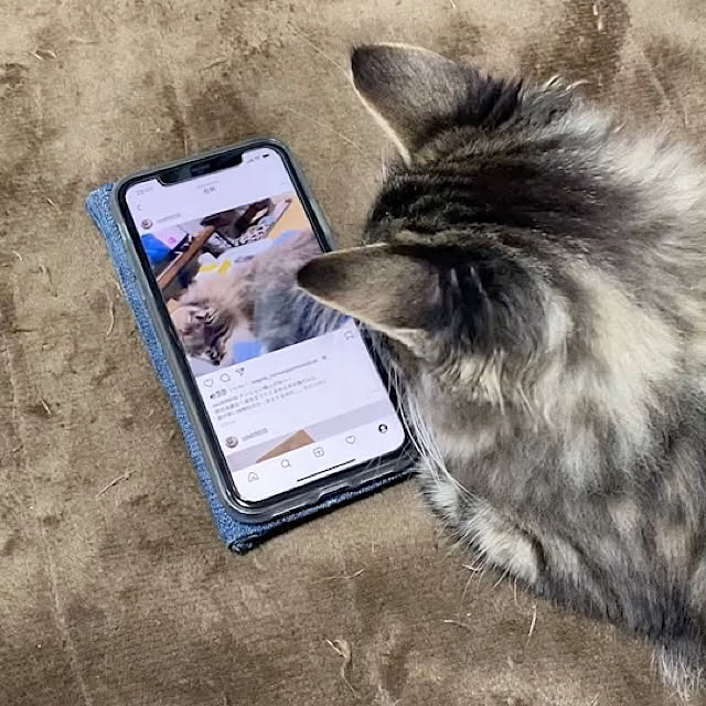 sh.0514さんの実例写真