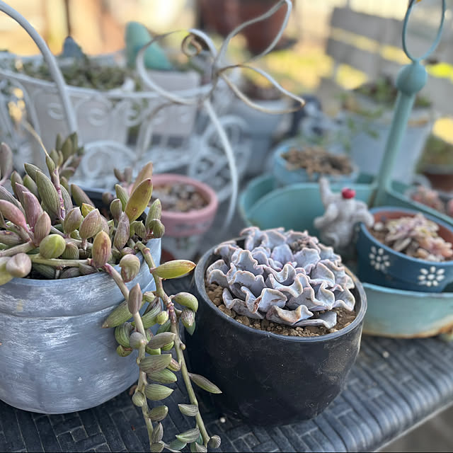 CoCo0617さんの実例写真