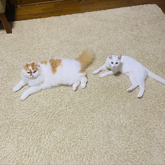 keiさんの実例写真