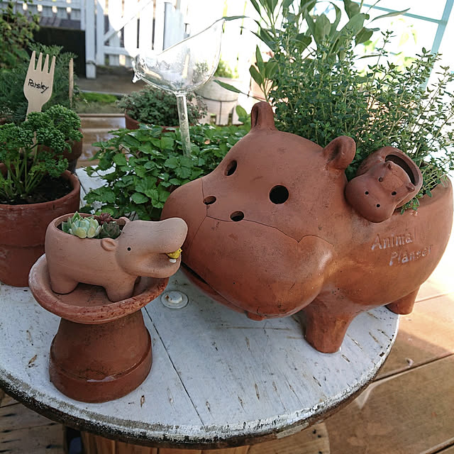 Ohigeさんの実例写真