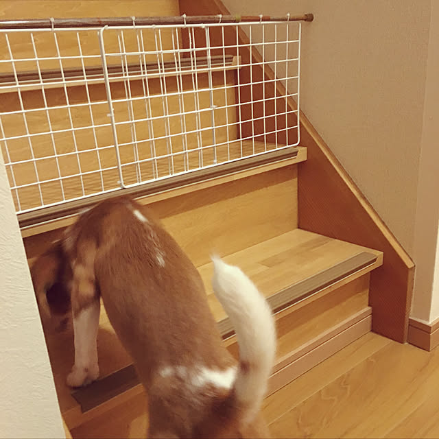 goro_wanさんの実例写真