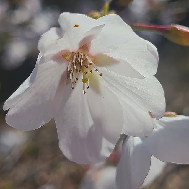 Rubiconさんの部屋