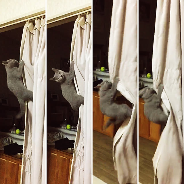 masaさんの実例写真