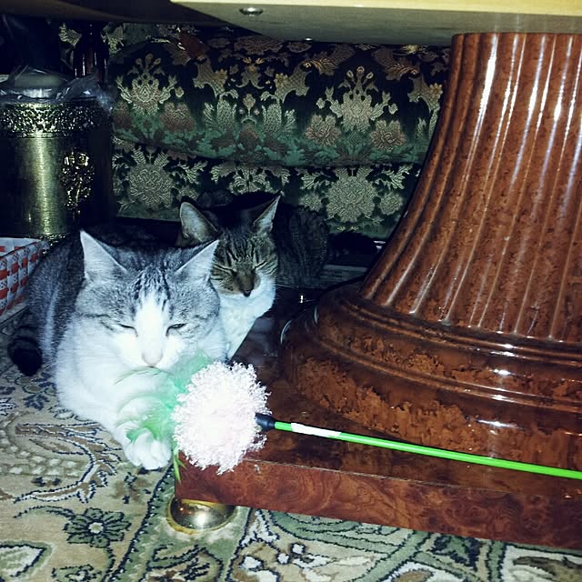 emmyyさんの実例写真