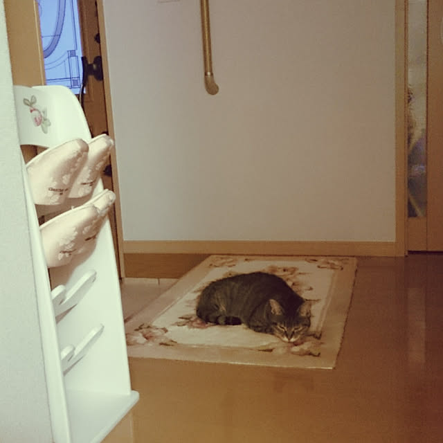 lilyさんの実例写真