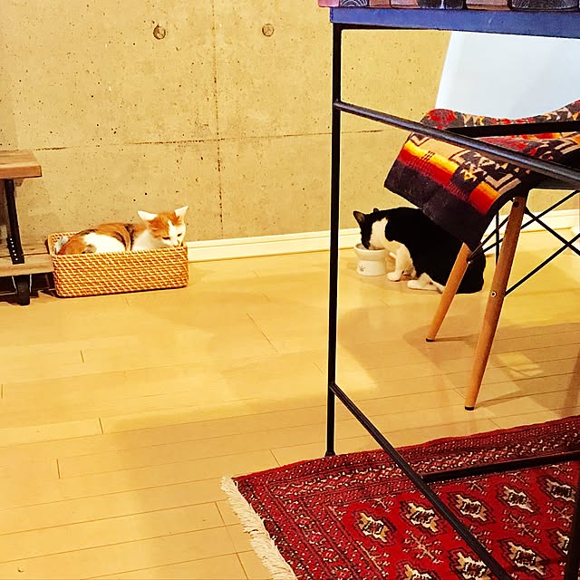 ziziguguさんの実例写真