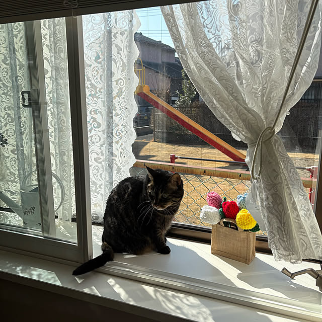 momocchiさんの部屋