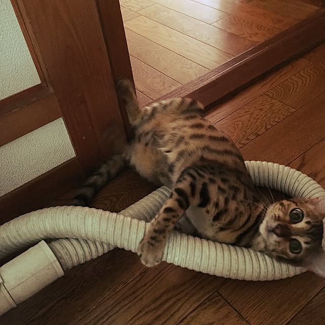 minamiさんの実例写真