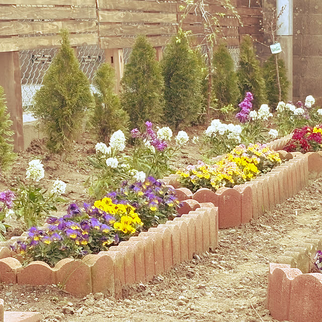 akkeyさんの実例写真