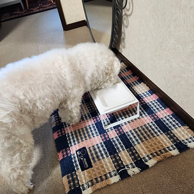 takoさんの実例写真
