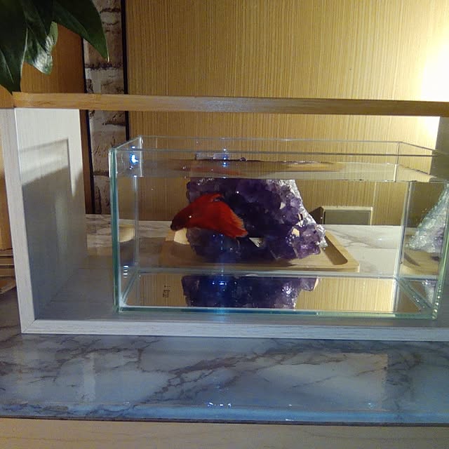 paoさんの実例写真