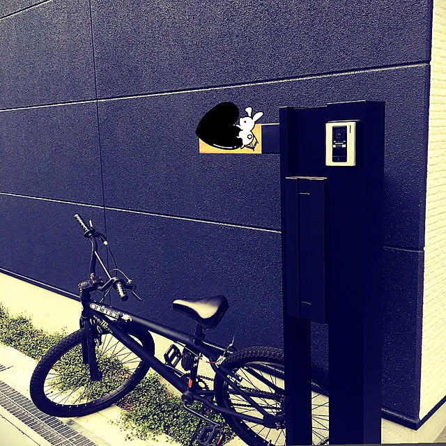lemonさんの実例写真