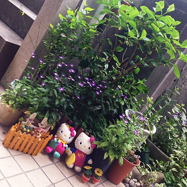 fumiko1201さんの実例写真