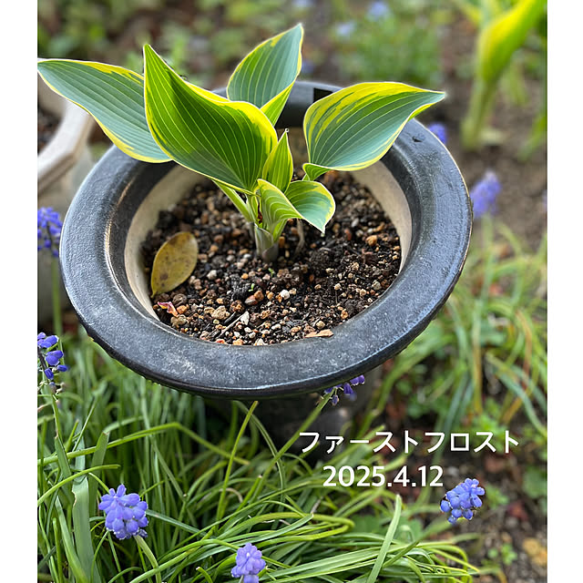 buchiさんの部屋