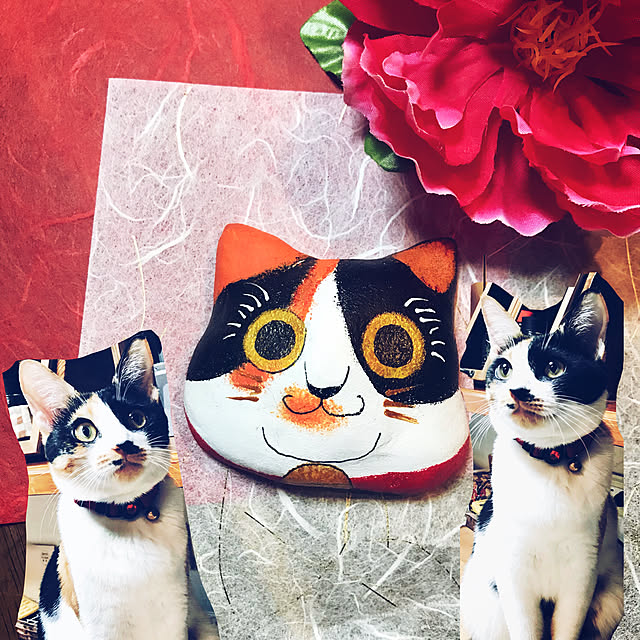 maroさんの実例写真
