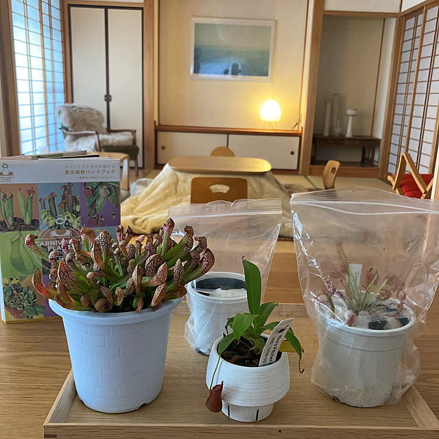 kaoriさんの実例写真