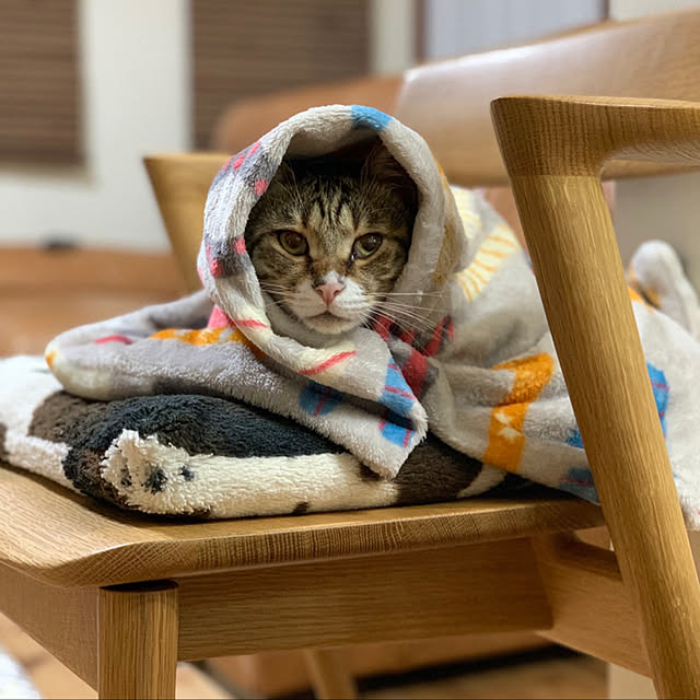 yurari.bonnさんの実例写真
