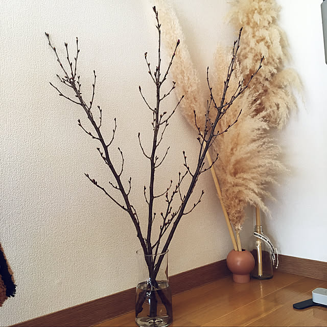pinokoさんの実例写真
