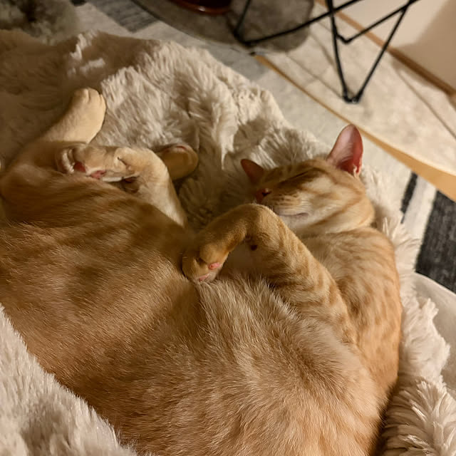 chiiさんのお部屋の写真