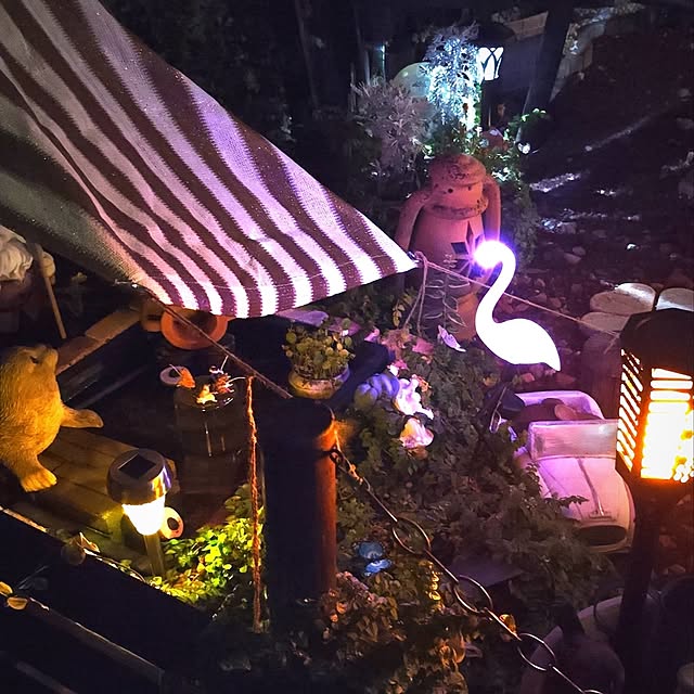 saayaさんの部屋