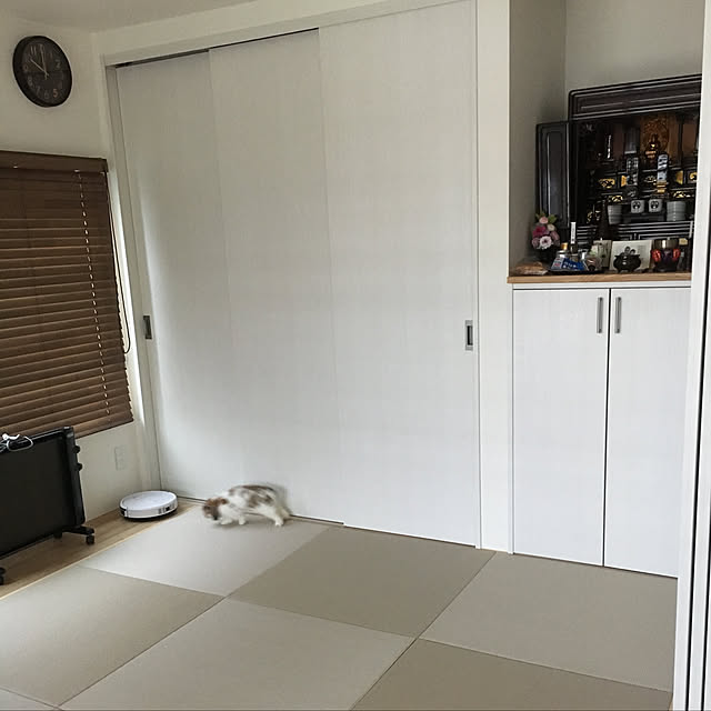 yoshiさんの実例写真