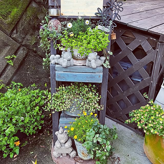 mocomocoさんの部屋