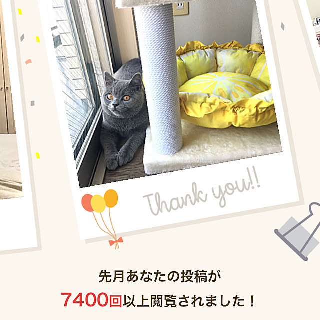 kittyさんの実例写真