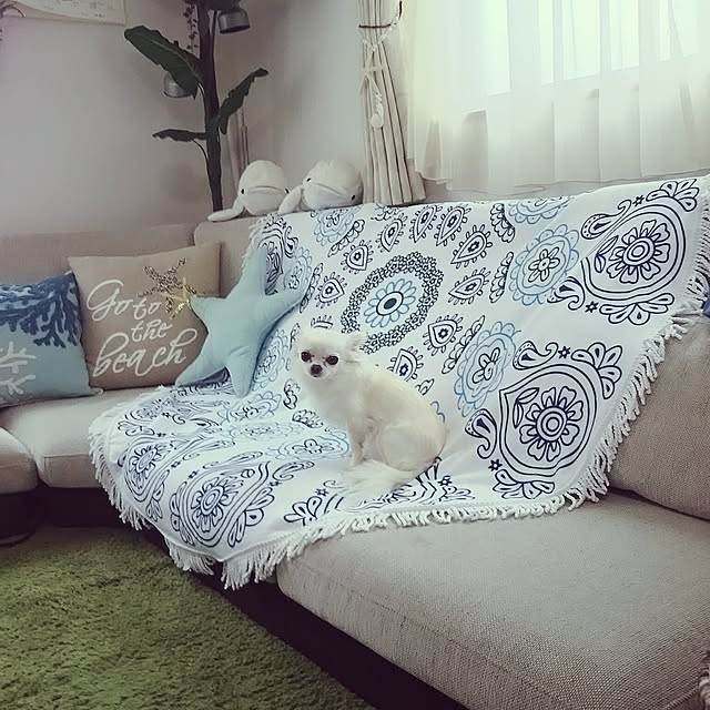 sachikoroさんの実例写真