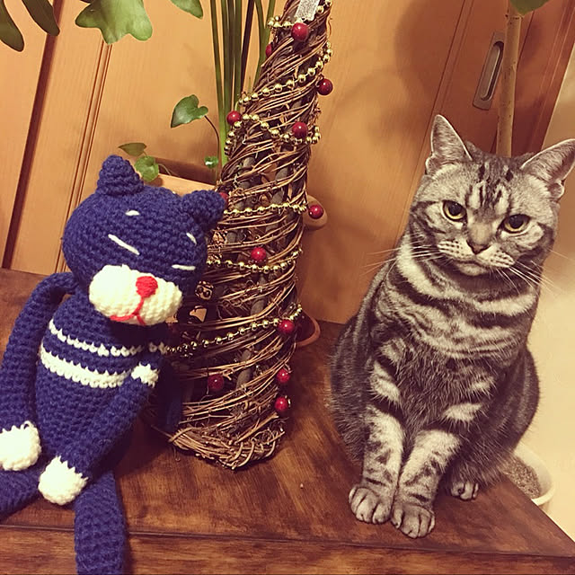 Yokoさんの実例写真