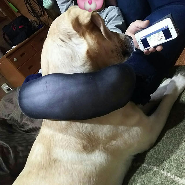 ohisamaさんの実例写真