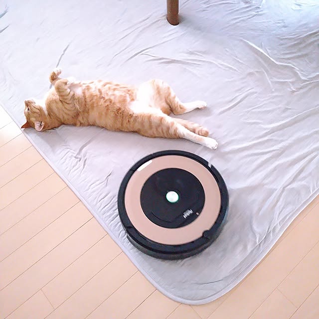 koromaroさんの部屋
