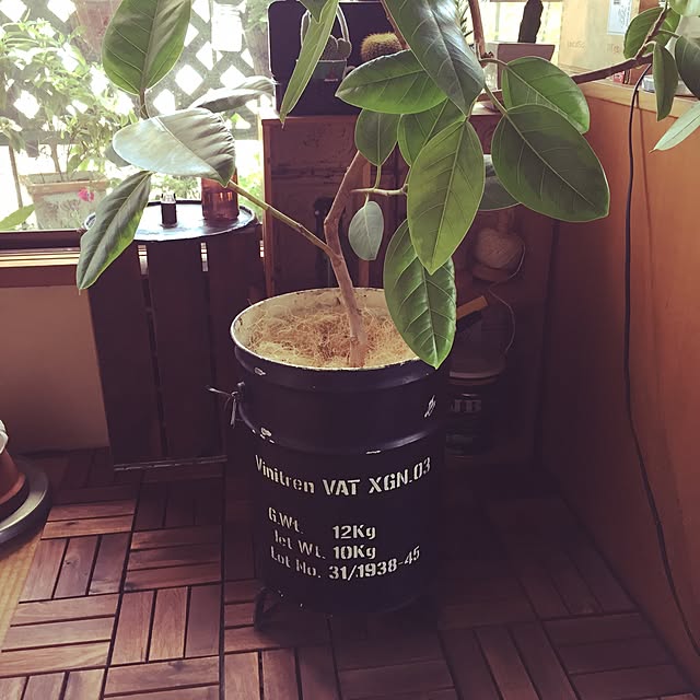 Miki Yoshinagaさんの実例写真