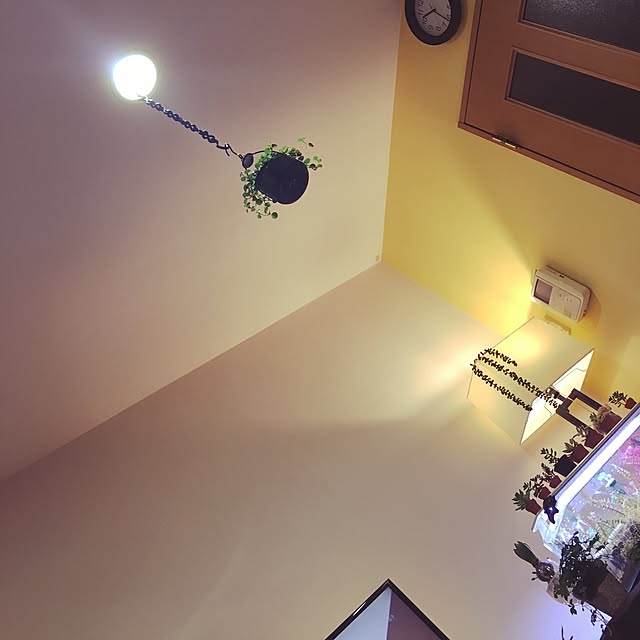 sadaさんの実例写真
