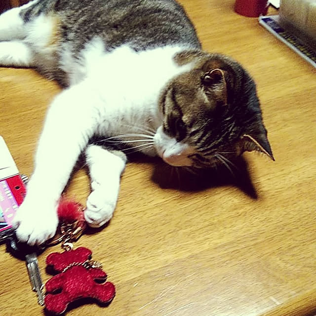 実例写真