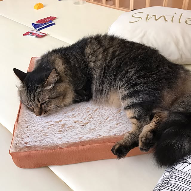 yuki0511さんの実例写真