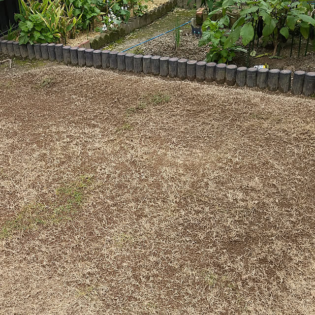 nippopoさんの実例写真