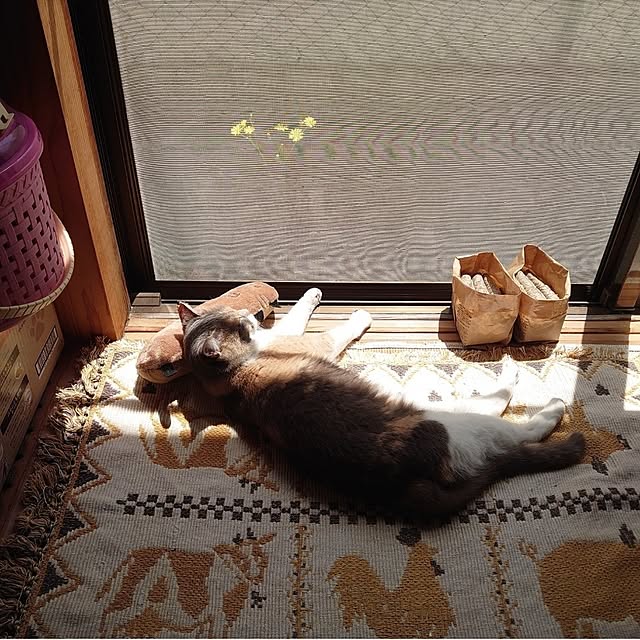 fukuさんの実例写真