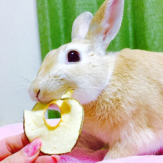 khj1974さんの実例写真