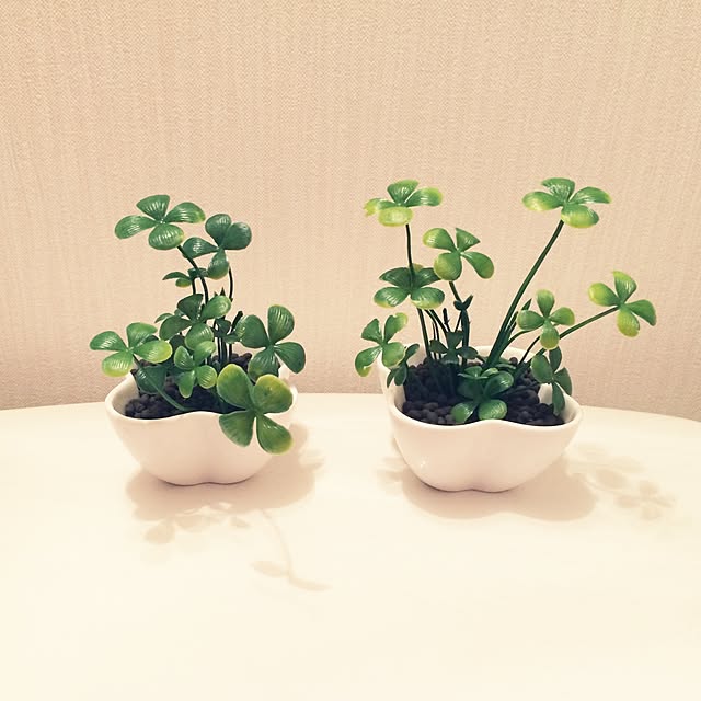 ayu_さんの実例写真