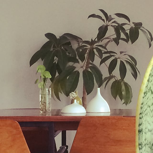 Shinjiさんの実例写真