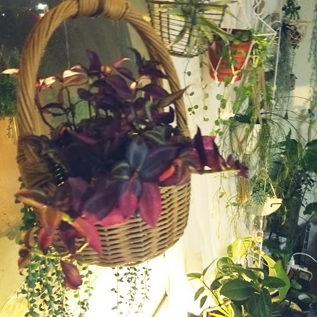 satominさんの実例写真