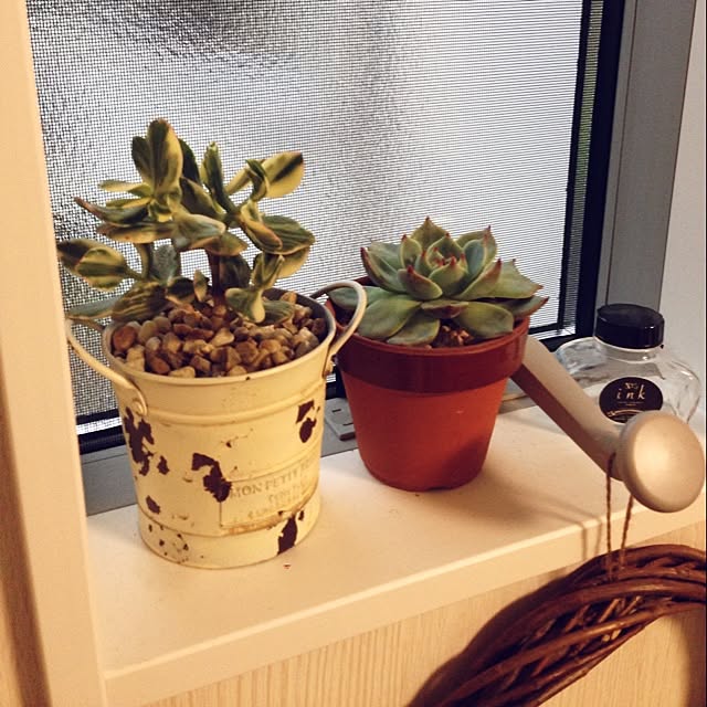 Emiさんの実例写真