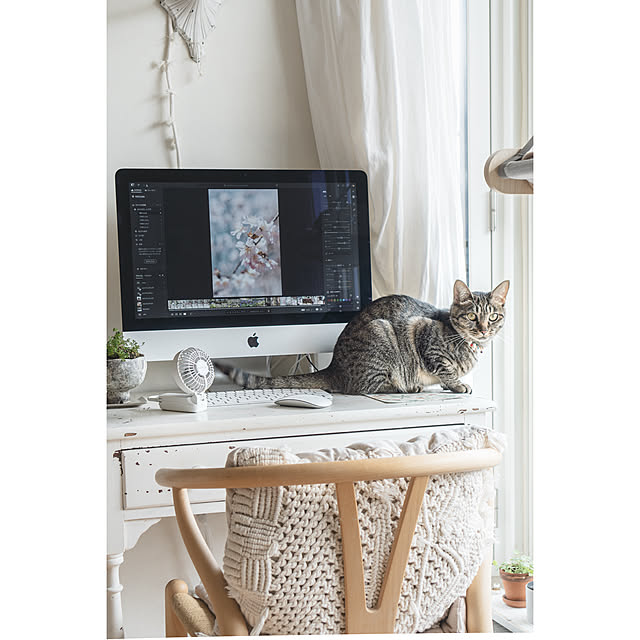 oliveさんの部屋