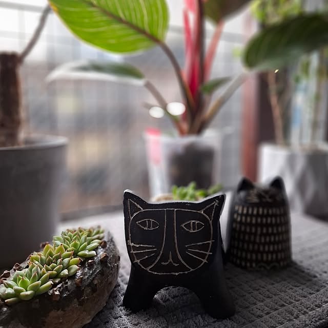 noaさんの部屋