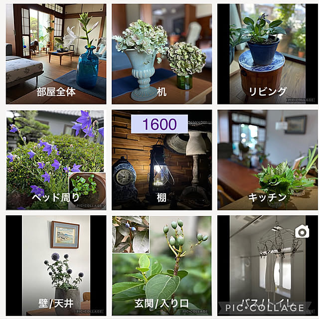 buchiさんの実例写真