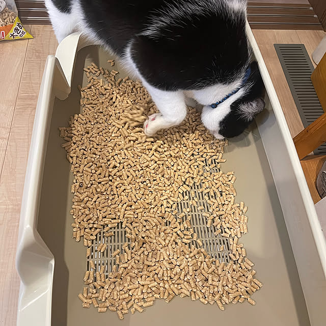 Youkoさんの実例写真