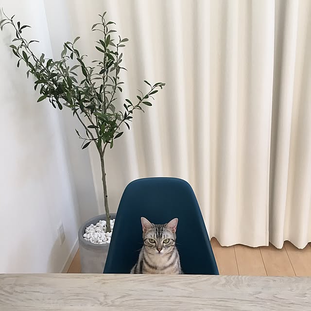 maripoさんの実例写真