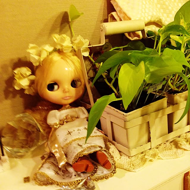mamiarisaさんの実例写真